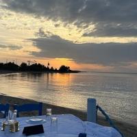/customerDocs/images/avatars/40139/40139-ΨΑΡΟΤΑΒΕΡΝΑ-ΨΑΡΙΑ-ΘΑΛΑΣΣΙΝΑ-ΑΡΩΝΗΣ-ΕΛΑΦΟΝΗΣΟΣ-LOGO.jpg