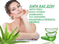 /customerDocs/images/avatars/49982/ΛΟΓΟ.jpg