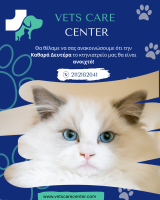 /customerDocs/images/avatars/62880/1.png