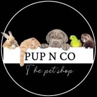 /customerDocs/images/avatars/62888/62888-LOGO.jpg